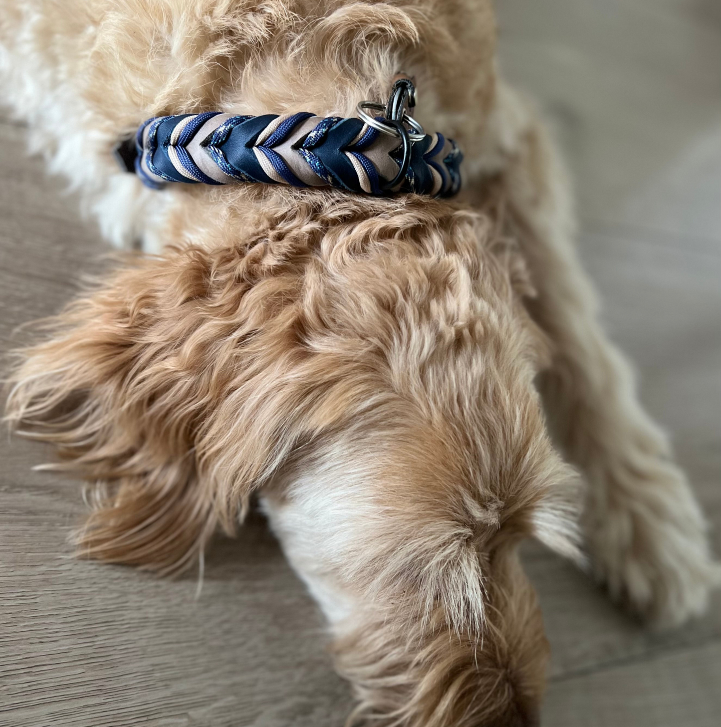 Design Your own SET Hundeleine und Halsband aus Fettleder, 18 mm