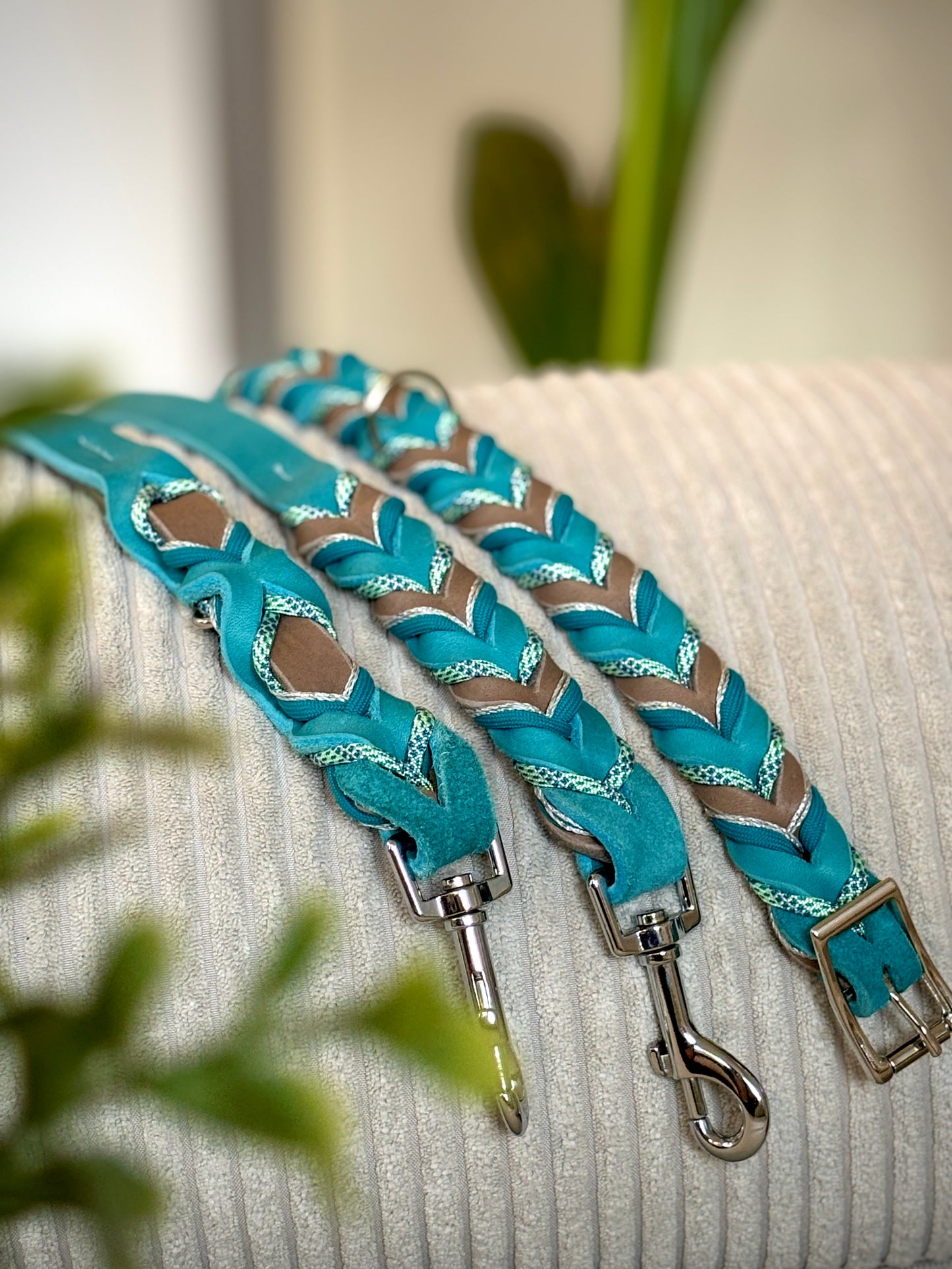 Hundehalsband & Hundeleine „Nordlicht“