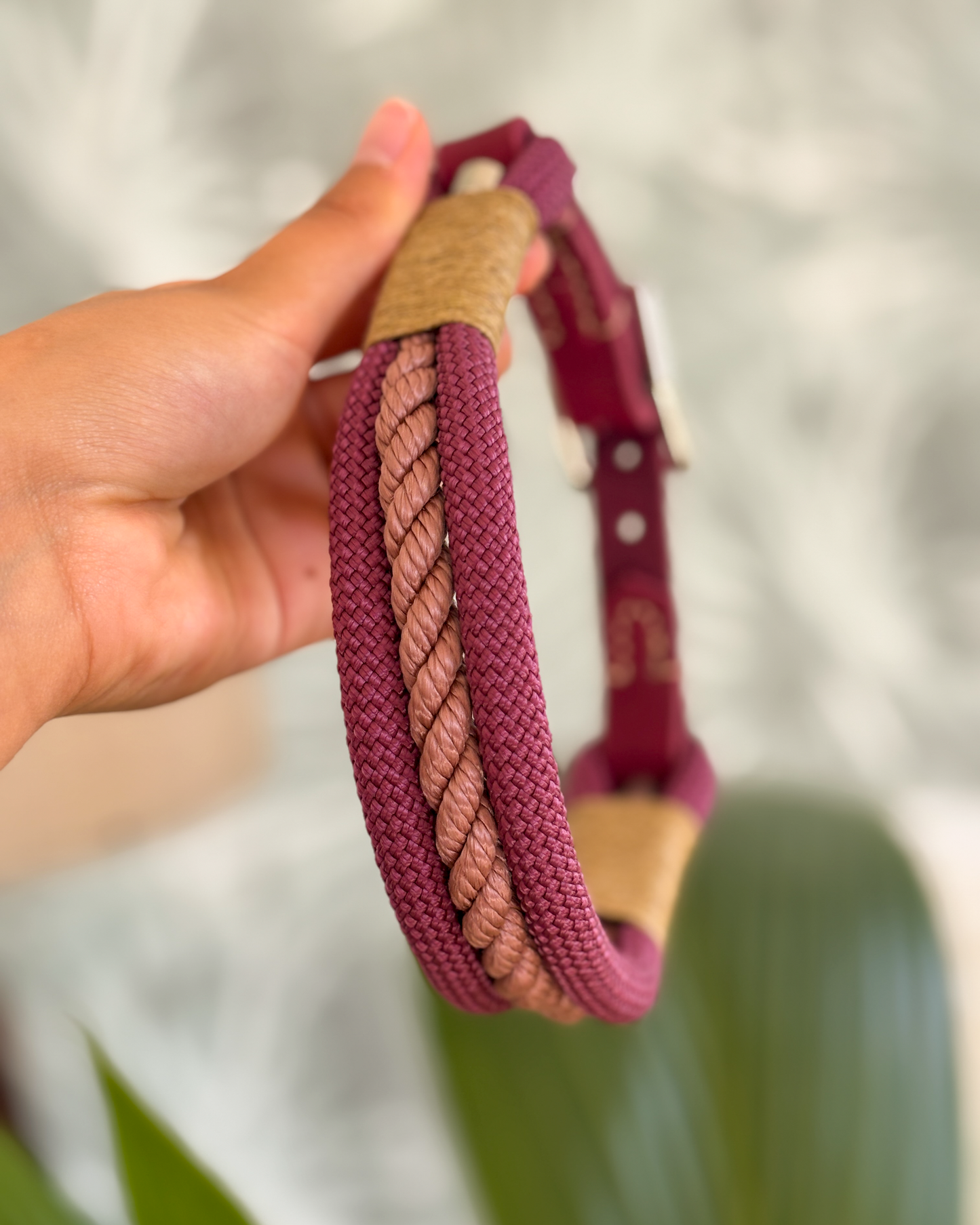 Hundehalsband aus Tau – Aubergine & Kupferrosa