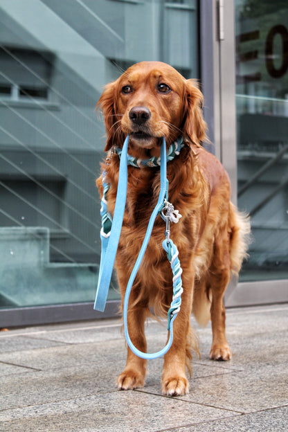 Create & Surprise / Individuelles Hundehalsband- & Leinen-Set – Wunschdesign mit Überraschungseffekt