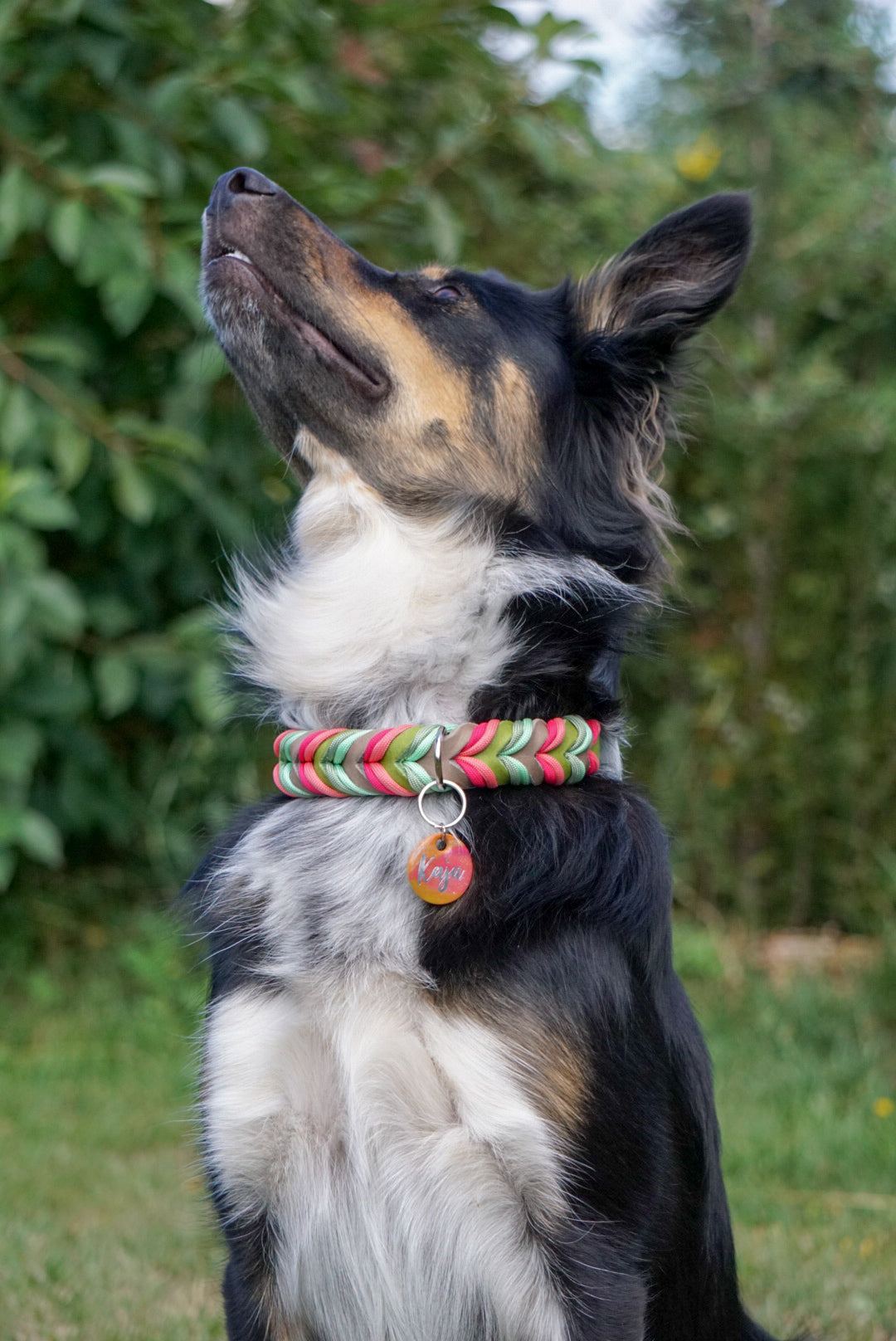 ALOHA SET "KAUAI" Hundeleine und Halsband aus Fettleder