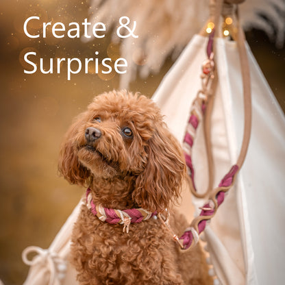 Create & Surprise / Individuelles Hundehalsband- & Leinen-Set – Wunschdesign mit Überraschungseffekt