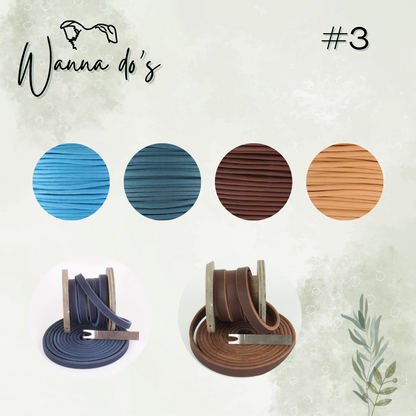 Wanna do #3