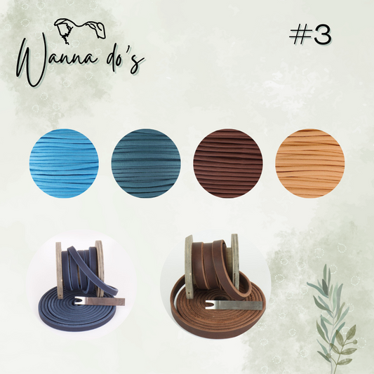Wanna do #3